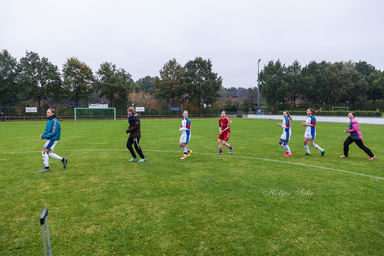 Bild 447 - B-Juniorinnen SV Henstedt Ulzburg - SV Wahlstedt : Ergebnis: 11:0